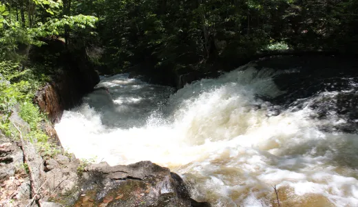 A narrow cascade of water