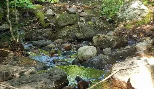 Fish Pond Truck Trail is a pond wonderland.