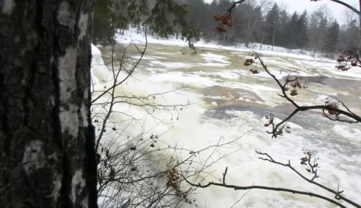 Basford Falls is an easy