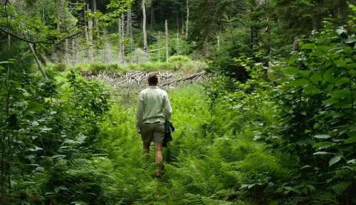 Vary the distance along this new hike.