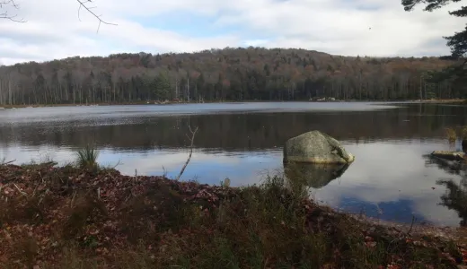 A reflecting pond with a large rock in it