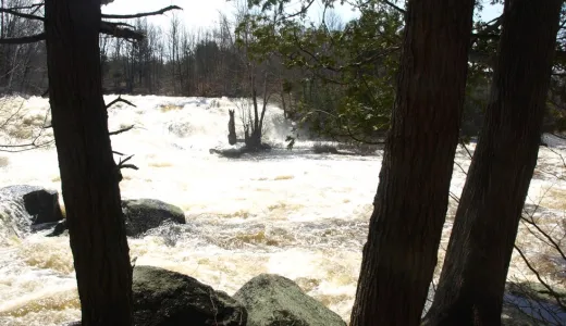 Part of the Cranberry Lake Waterfall Tour.