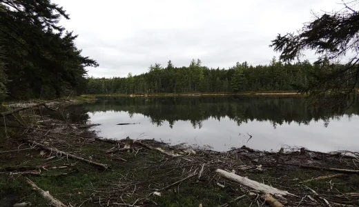 A trail circles the lake for brook trout fishing from the shore.