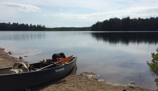 There's a number of ways to access this wildlife area for paddling and birding.