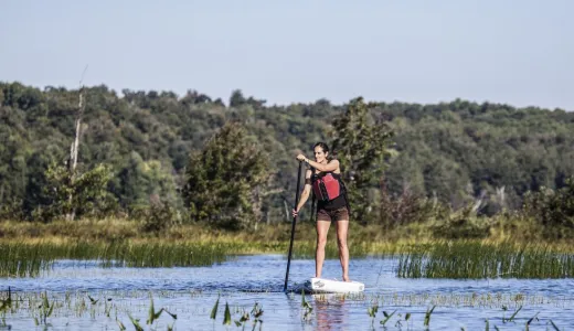 The many wetlands on this paddle are easily explored with the right watercraft.