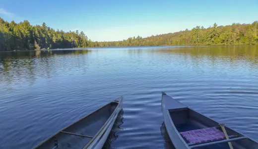 Many connected water bodies means fine boating of all kinds.
