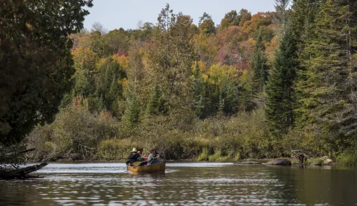 Paddle the Raquette River as part of Carry Falls Reservoir.