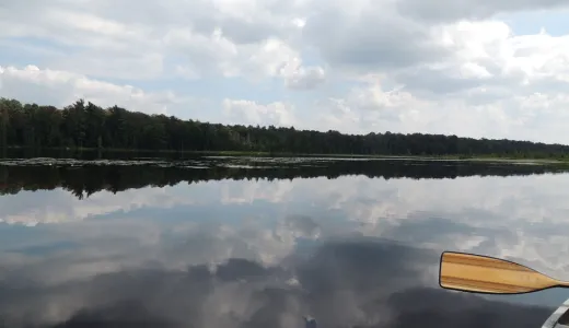 Paddling on a calm pond