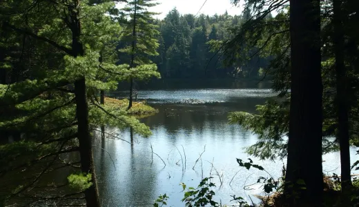 Horseshoe Pond is a calm flatwater paddle.     