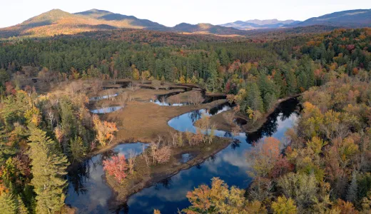 Aerial view of a winding river