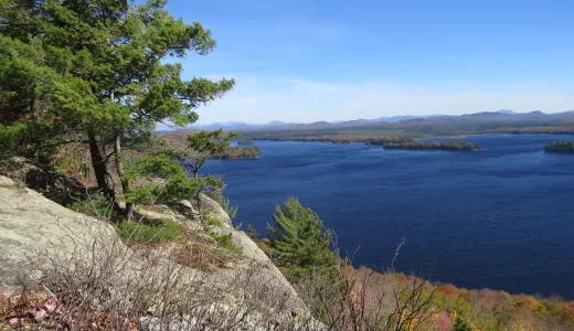 A summer view of Lake Lila from a rocky outcrop with pines.
