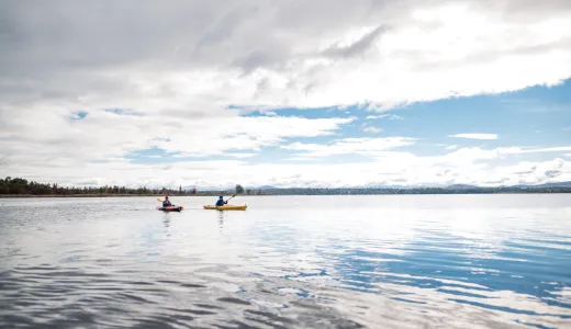 Two paddlers on a large pond