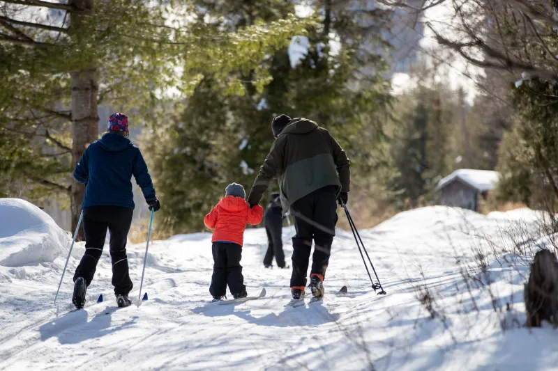 A family cross country skiing on a groomed woods trail