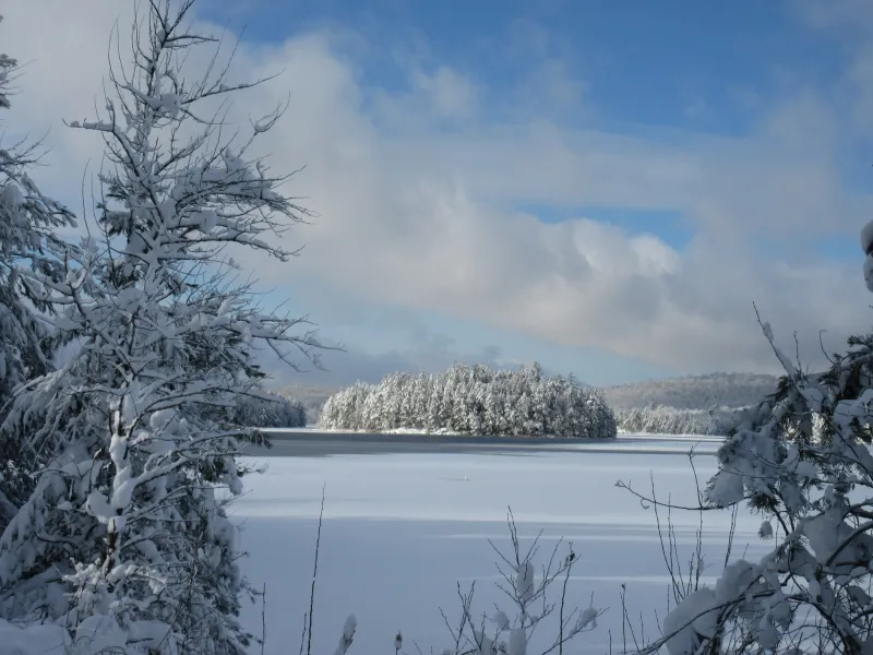 A calm winter scene of a frozen lake with an island in the middle.