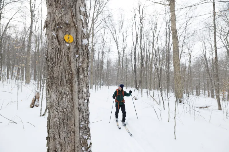 A skier passing by a yellow ski trail marker