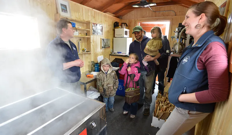 Visitors can watch maple syrup being made in The Wild Center's Sugar Shack (Wild Center Photo)