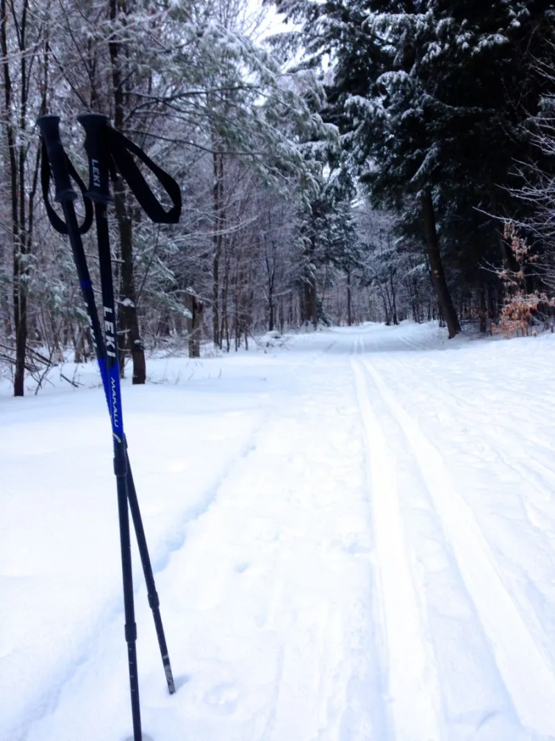 A nice set tracks on the trip in along the Cranberry Pond Loop.
