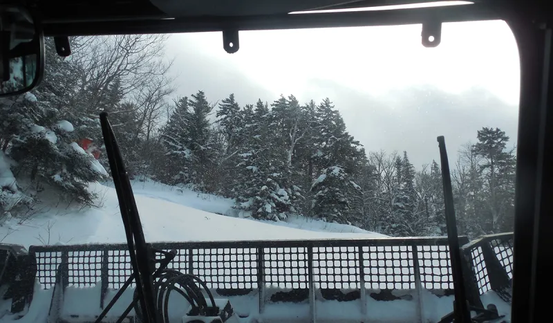 View from inside the groomer.