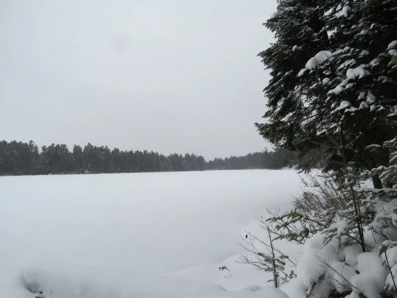 Leonard Pond with snow falling