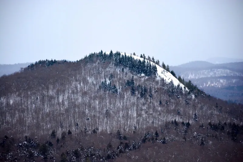 A view of Coney Mountain from the summit of Goodman Mountain
