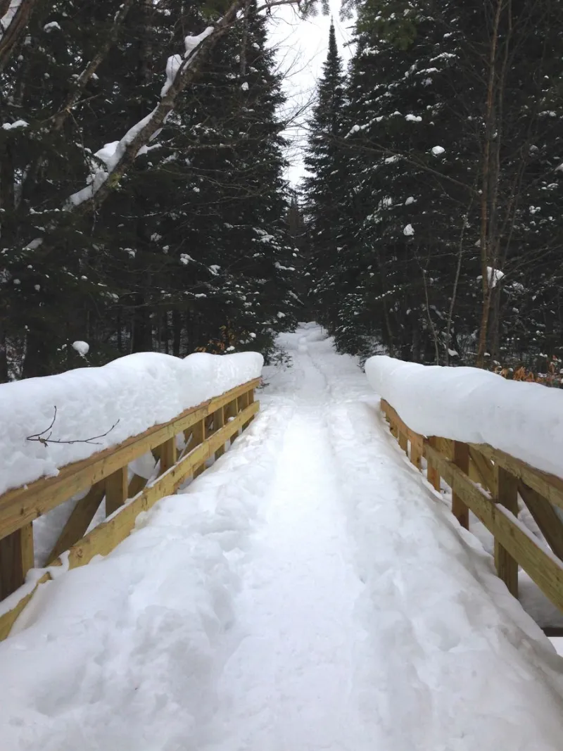 A snow-covered bridge at the start of the trailhead shows how well packed the trail is thanks to many climbers making their way up the mountain.
