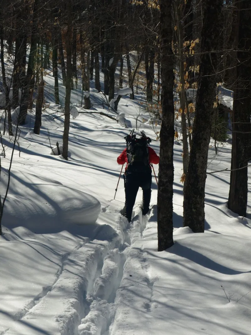 Breaking trail with skis is hard work