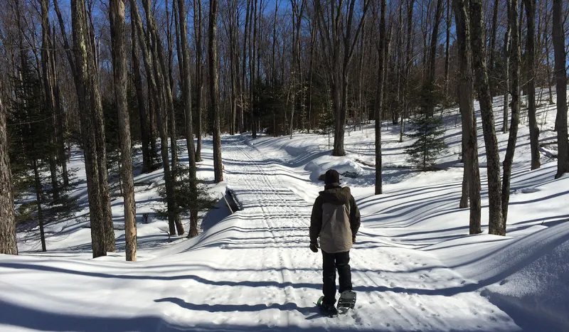 Trails at The Tupper Lake Cross Country Ski Center still had great coverage as of 3/13/15
