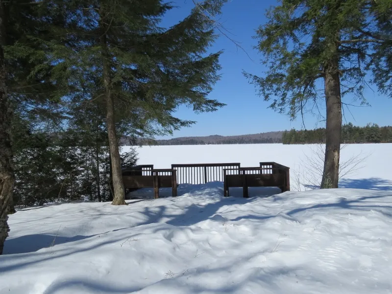 Wheelchair accessible viewing deck along Horseshoe Lake