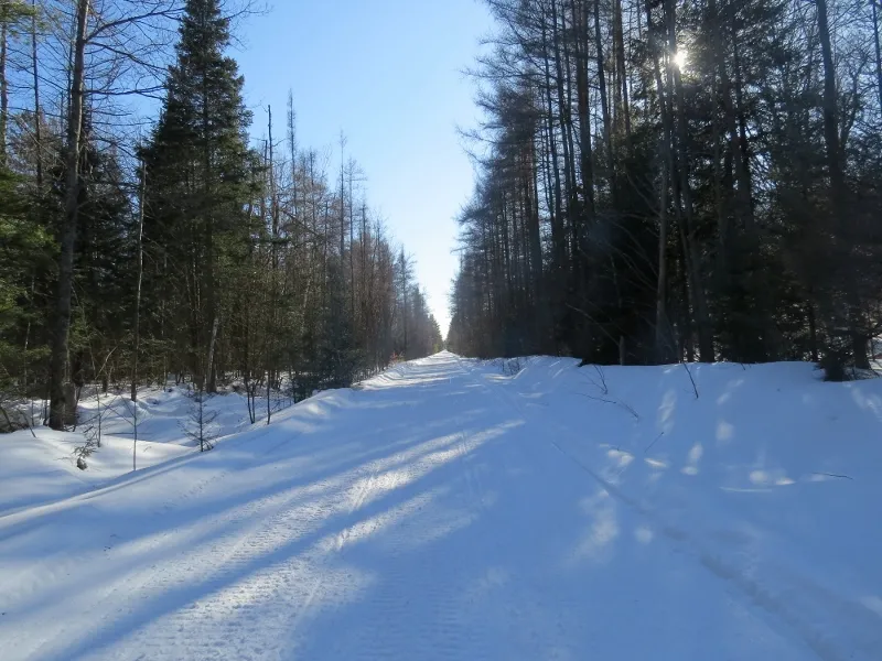 Groomed railroad bed