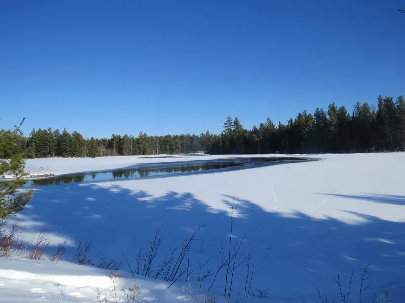 Open water along the Bog River