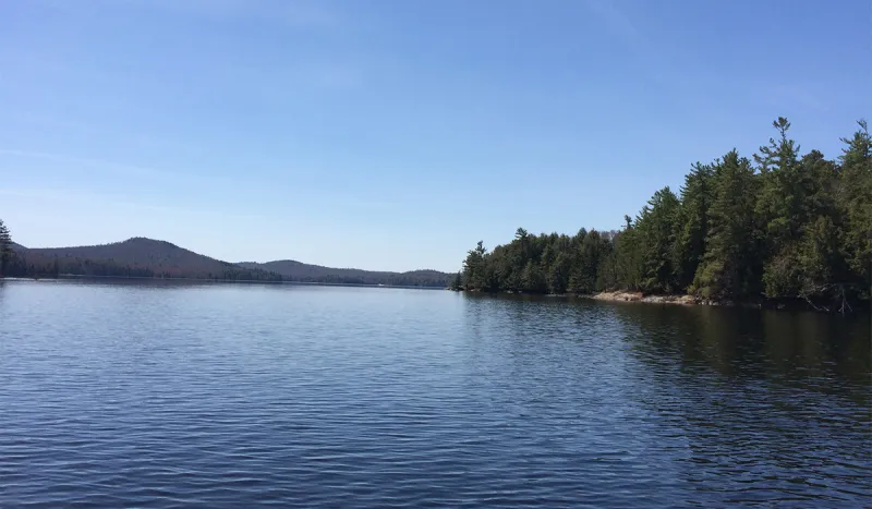 View from our fishing boat on Big Tupper Lake