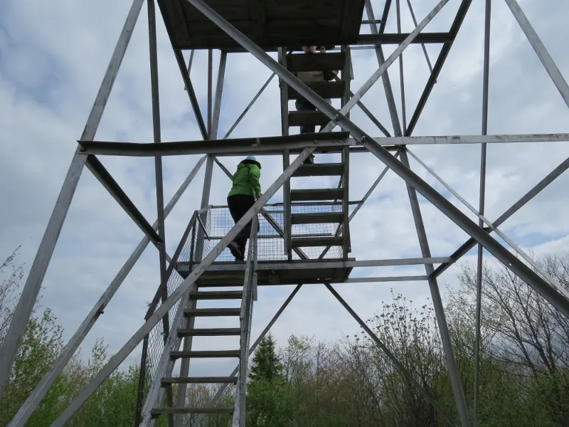 Starting the climb of the fire tower on Mount Arab