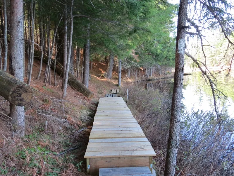 Wooden walkways on the Mountaineer Trail