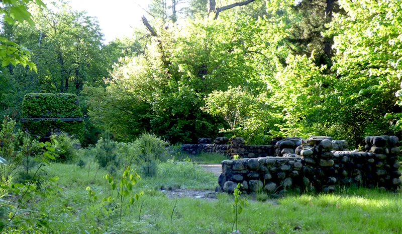 Ruins from Low's Horse Shoe Forestry Company