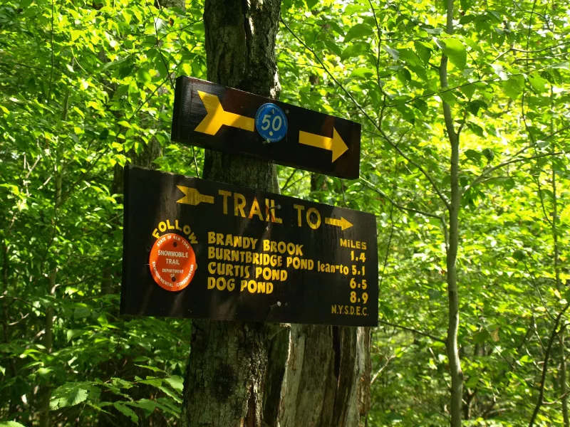 Trail signs and blue "50" markers lead the way