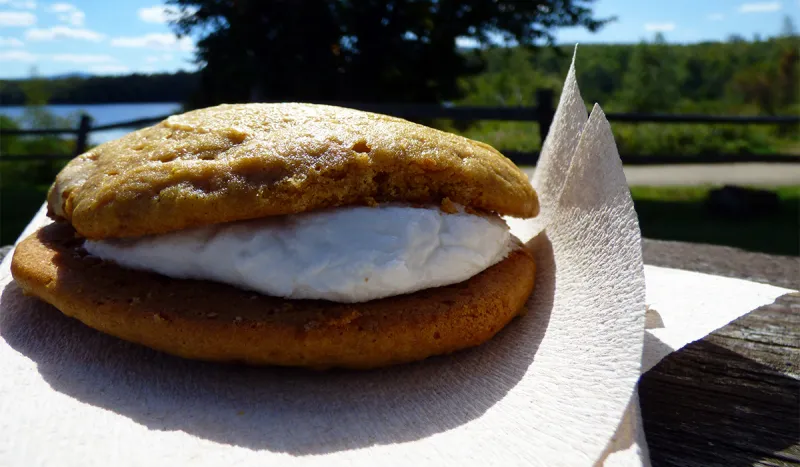 Pumpkin Whoopie Pie from Larkin's Junction Depot. Yup, I know... I've got your attention now!