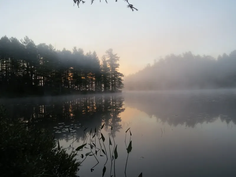 Foggy dawn over Massawepie Lake