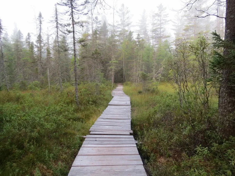 Wooden walkway on the Mountaineer Trail along Massawepie Lake