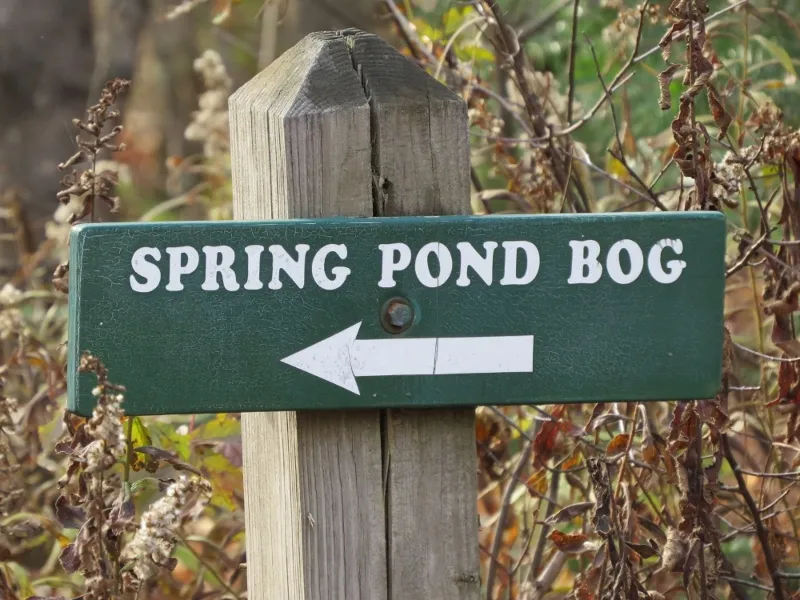 Sign for the Spring Pond Bog trailhead