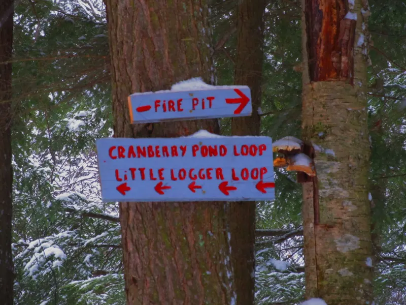 Intersection for Cranberry Pond, the Little Logger Trail or the firepit