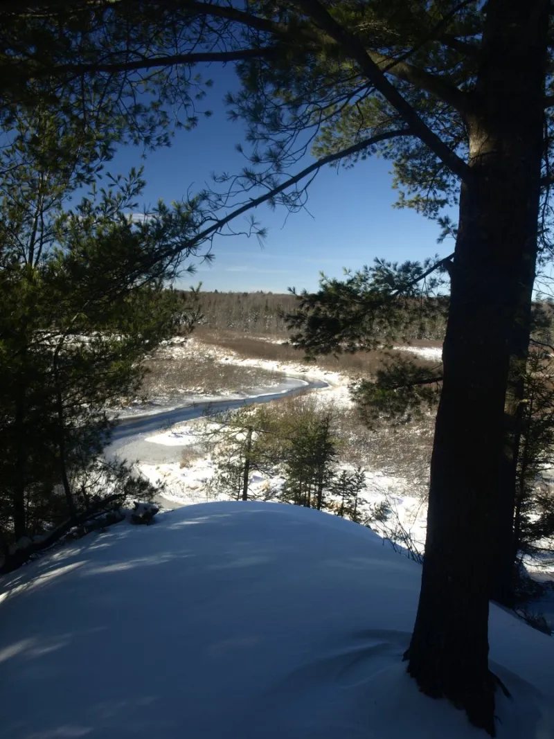 Oswegatchie River from High Rock Camps