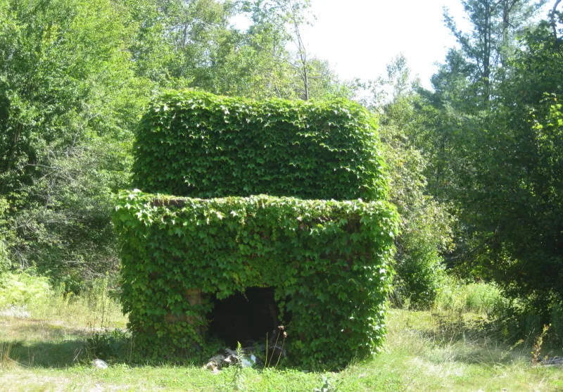 Vine covered fireplace at Lows Upper Dam