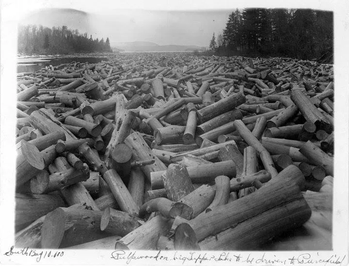 "Pulp wood in South Bay, Big Tupper Lake going to the Piercefield mill." (Photo Courtesy of Jon Kopp "Tupper Lake: Early Beginnings")
