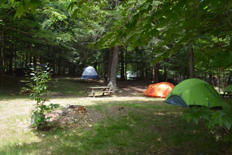 Each campsite has electricity and water hook-ups as well as a fire area and picnic table.  Some sites have full hook-ups or a dumping station is available.