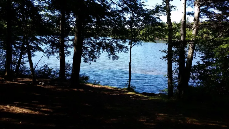 East Pine Pond - perfect picnic area!