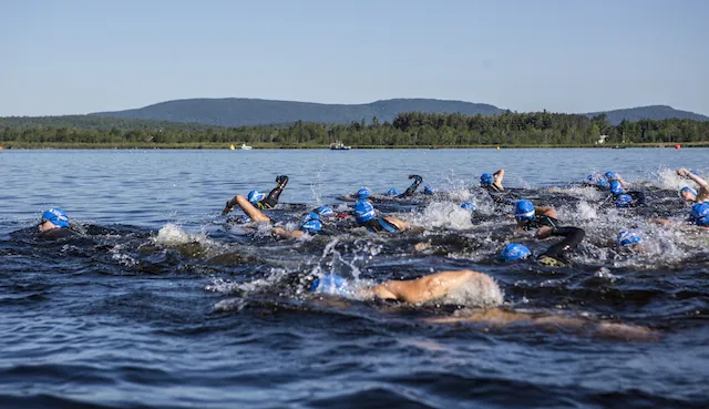 Pack swimming is a lot more challenging for humans than for dolphins.