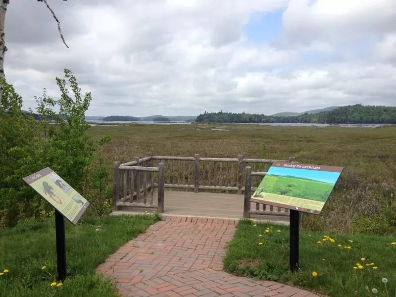 Viewing Deck at Tupper Lake Marsh Photo by Joan Collins