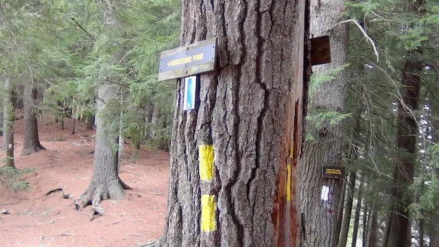 There are signs and also color "blazes" on trees to help you navigate.