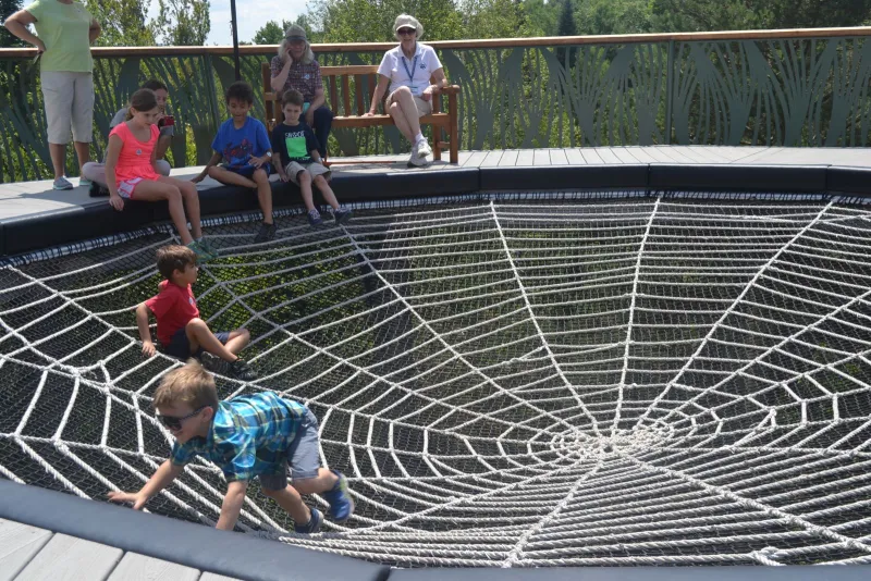 Check out the Spider Web on the Wild Walk!
