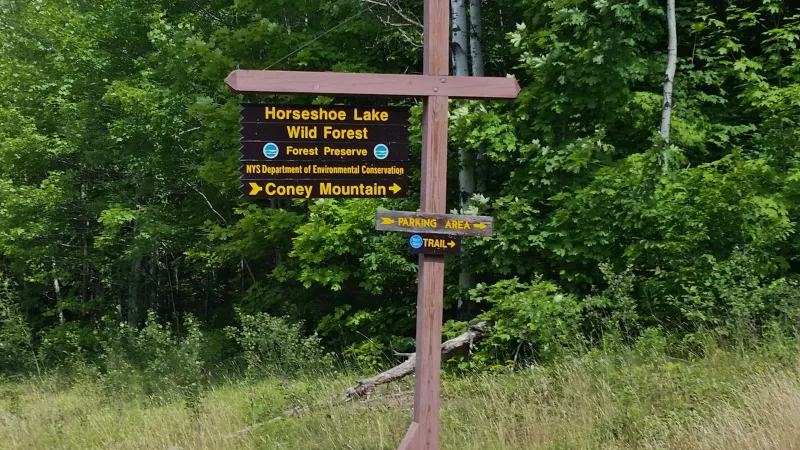 Hike Coney Mountain — it's 2.2 miles round trip!